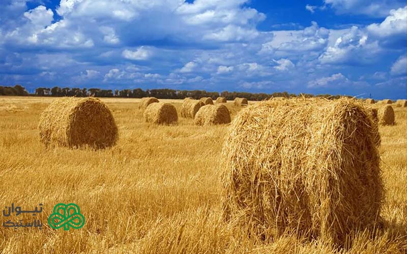 نخ پلاستیکی چیست