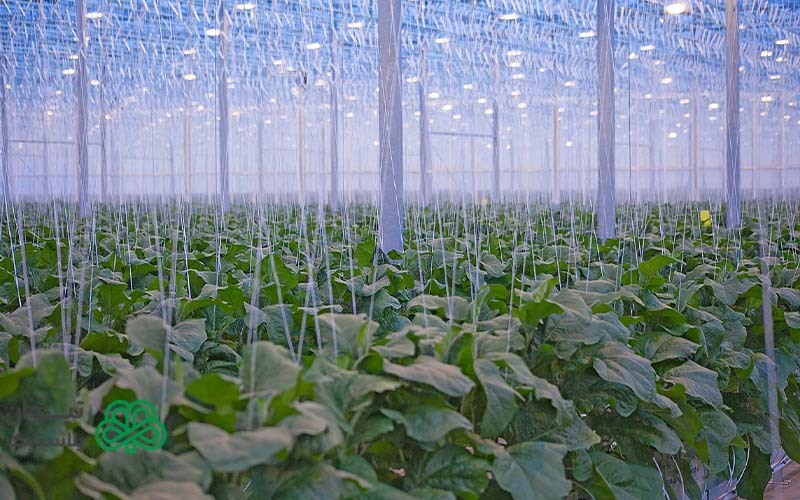 نخ پلاستیکی چیست