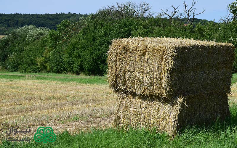 قیمت و خرید نخ بیلر درجه یک