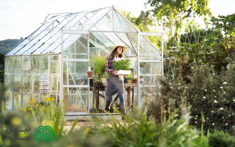 بهترین نخ مناسب گلخانه